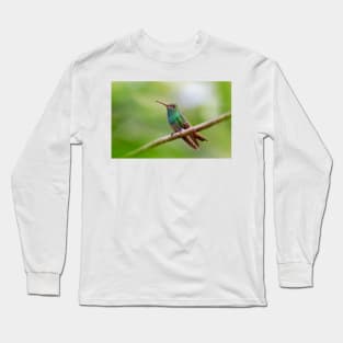 Rufous-tailed hummingbird - Costa Rica Long Sleeve T-Shirt